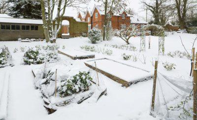 backyard garden and plant boxes covered in a layer of snow, winter weather damage to hardscape