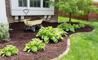 new mulch in garden bed
