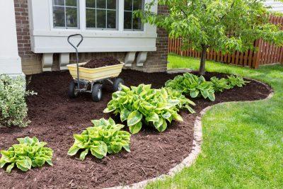 new mulch in garden bed