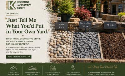 guide to choosing which material to use in your yard