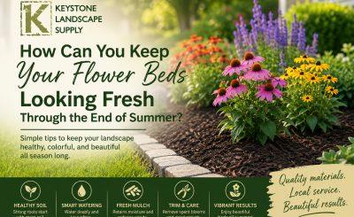 how to keep your flower beds looking fresh