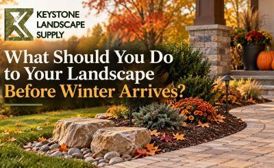 Fall Landscaping